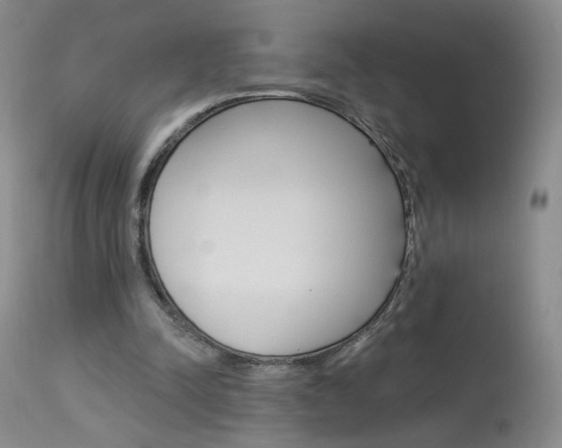 X0000114030342200910021046