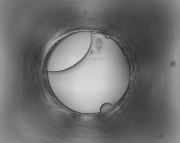 X0000114030343200910021046