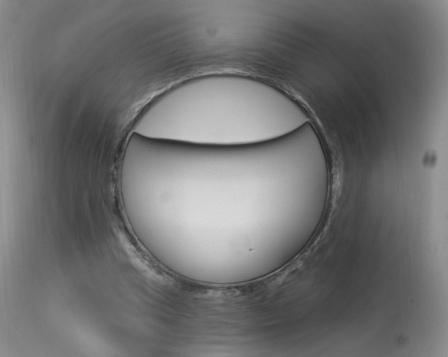 X0000114030345200910021046