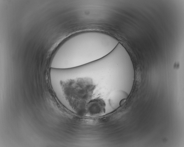 X0000114030347200910021046