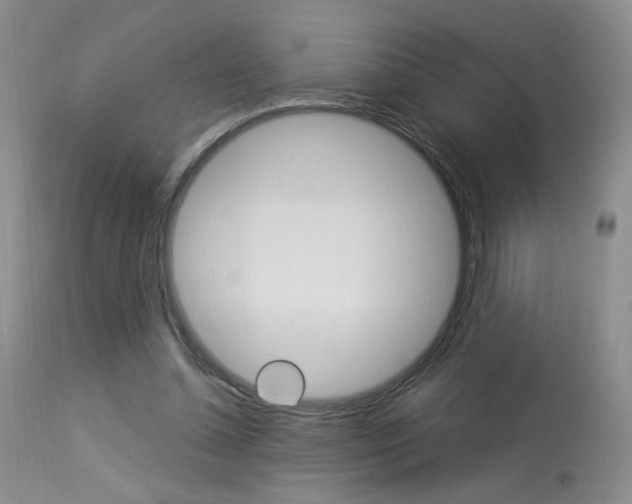 X0000114030348200910021046