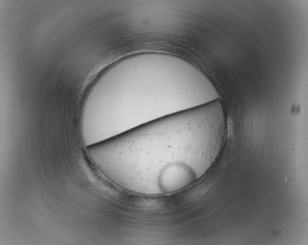 X0000114030349200910021046
