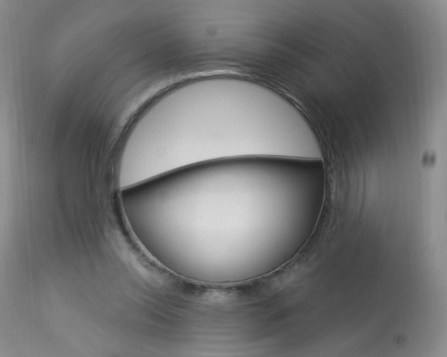 X0000114030350200910021046