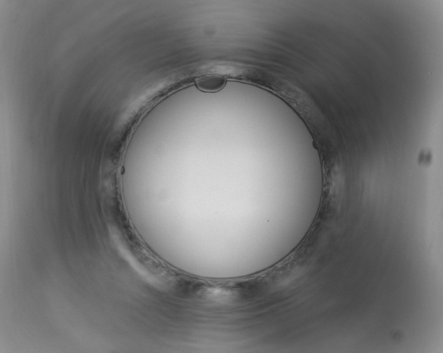 X0000114030352200910021046