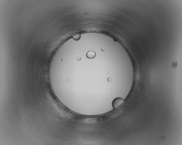 X0000114030353200910021046