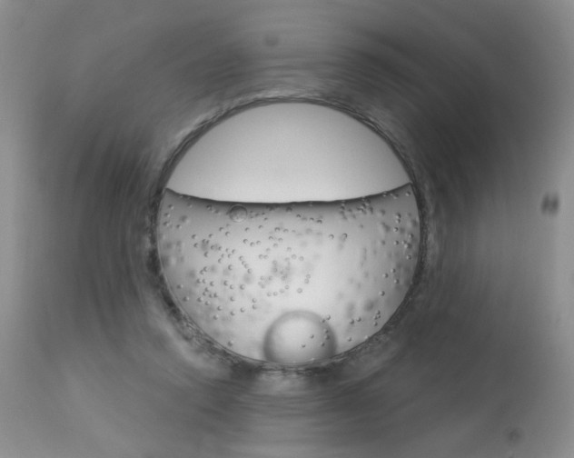 X0000114030354200910021046