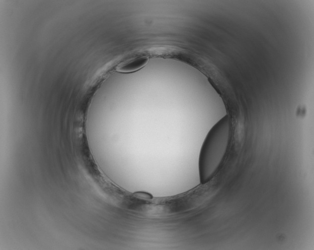 X0000114030356200910021046