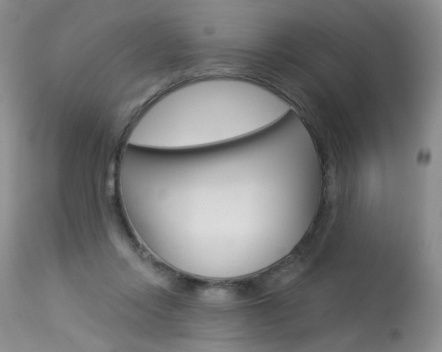 X0000114030358200910021046