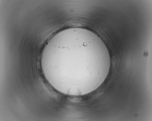 X0000114030359200910021046
