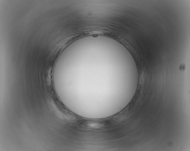 X0000114030360200910021046