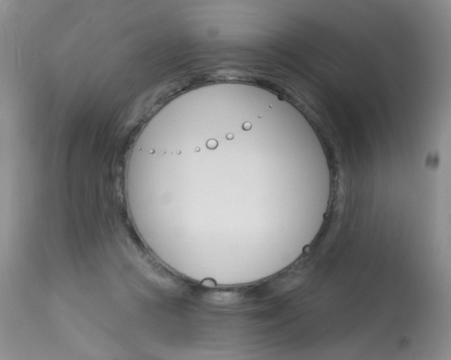 X0000114030361200910021046
