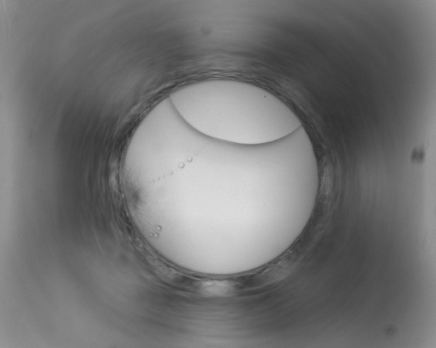 X0000114030363200910021046