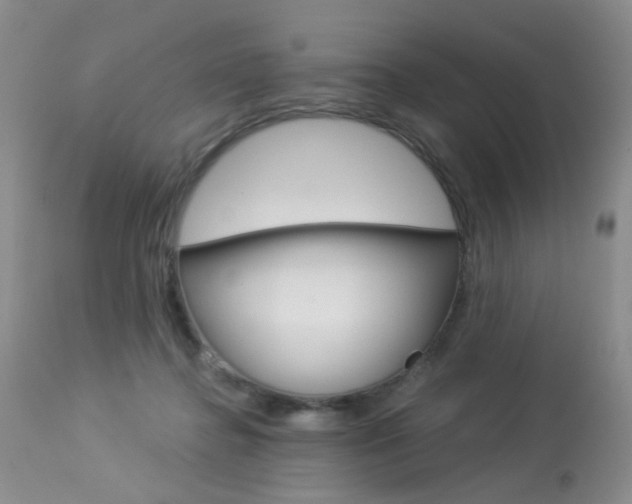 X0000114030364200910021046