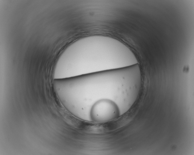 X0000114030366200910021046