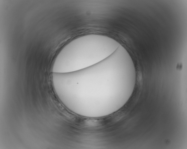 X0000114030367200910021046