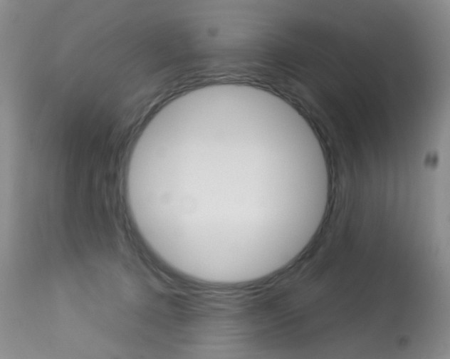 X0000114030368200910021046