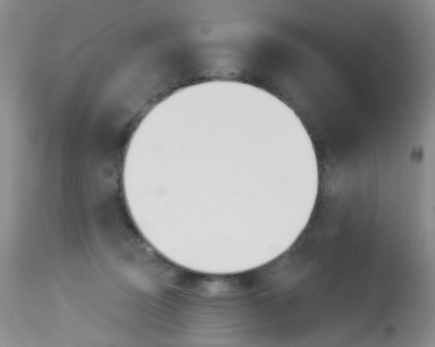 X0000114030370200910021046