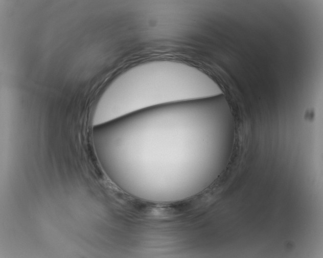 X0000114030372200910021046