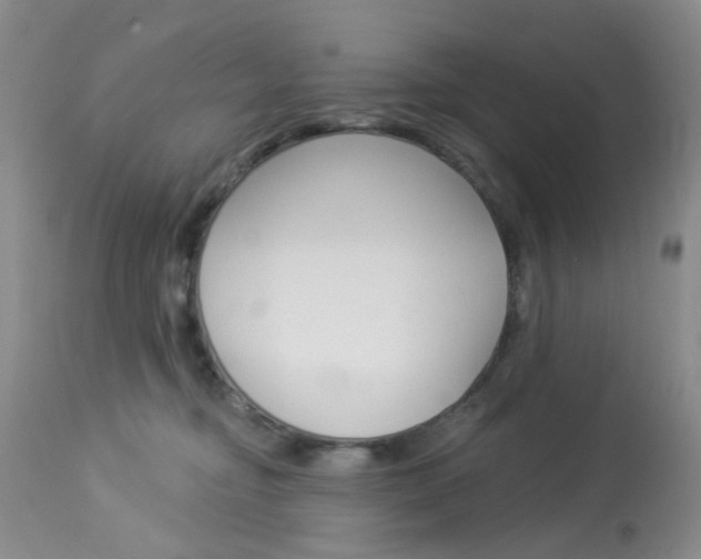 X0000114030374200910021046