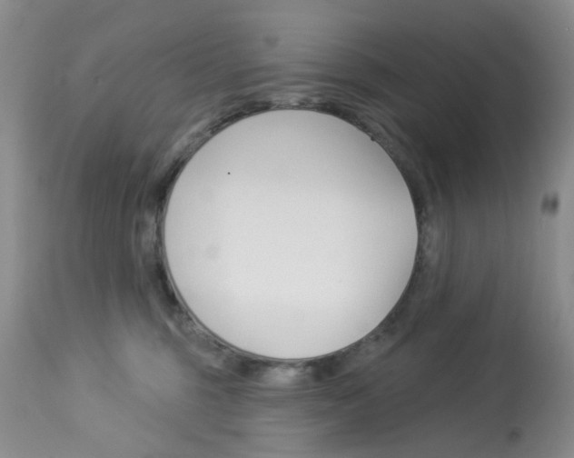 X0000114030375200910021046