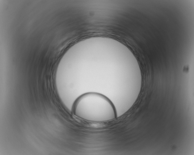 X0000114030376200910021046