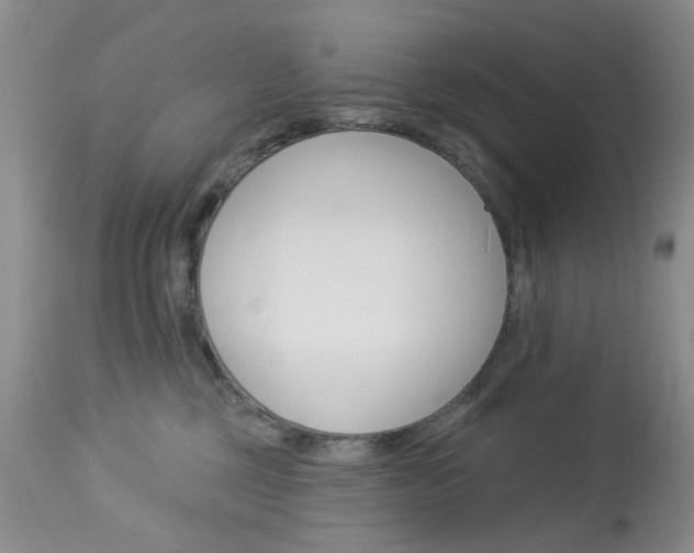 X0000114030377200910021046
