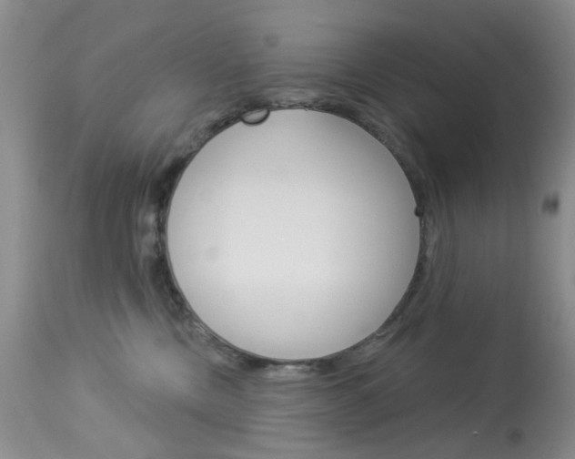X0000114030378200910021046