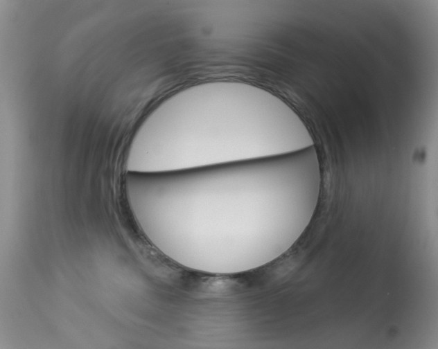 X0000114030379200910021046