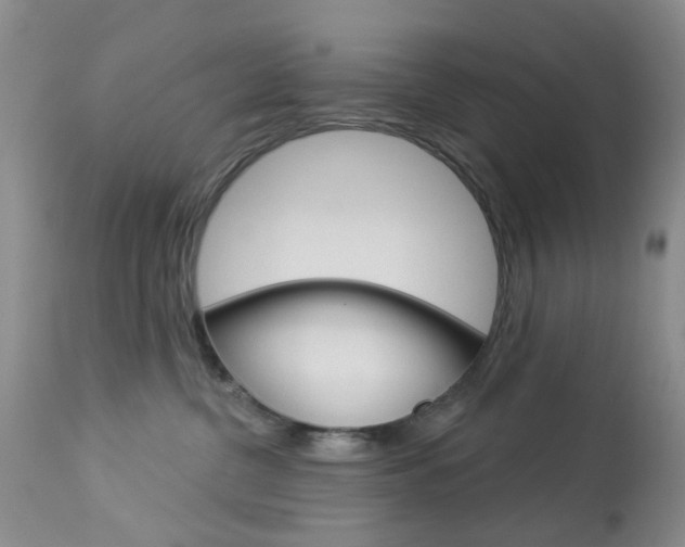 X0000114030380200910021046