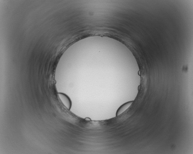 X0000114030381200910021046