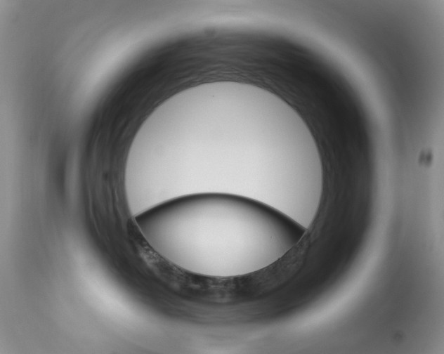 X0000114030382200910021046