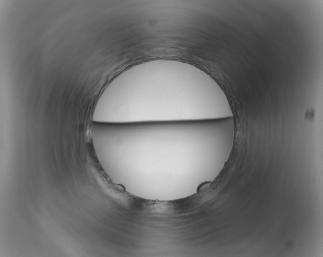 X0000114030383200910021047