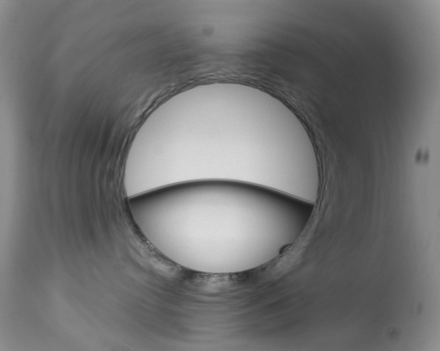 X0000114030384200910021047