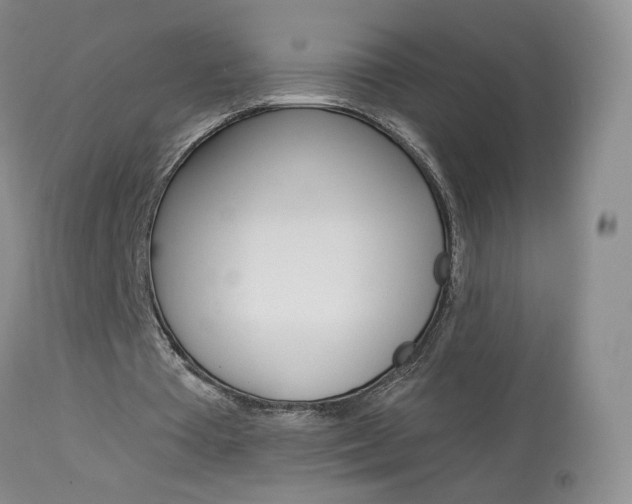 X0000114030385200910021046