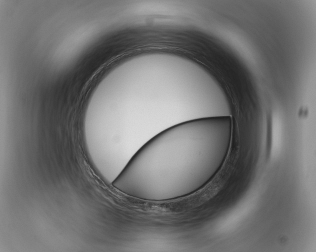 X0000114030387200910021046