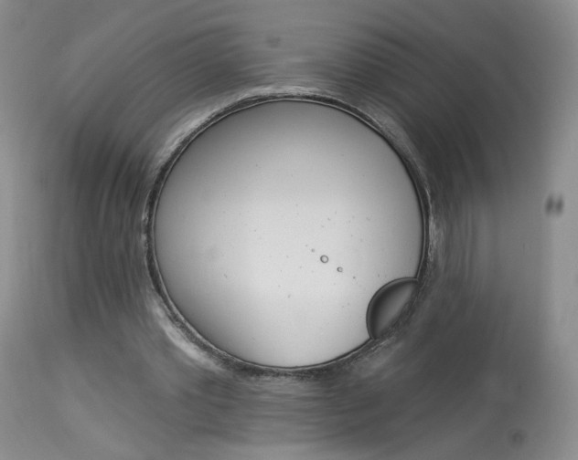 X0000114030389200910021046