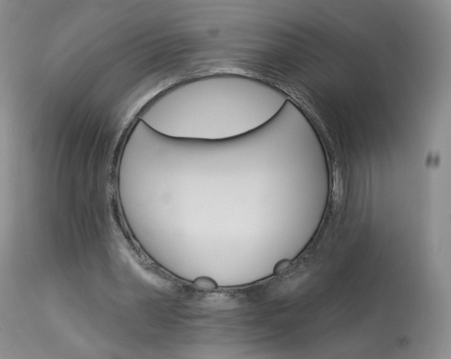 X0000114030390200910021046