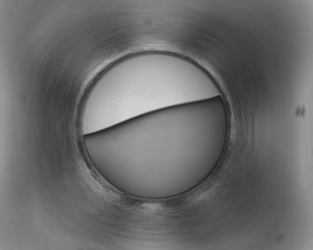 X0000114030391200910021046