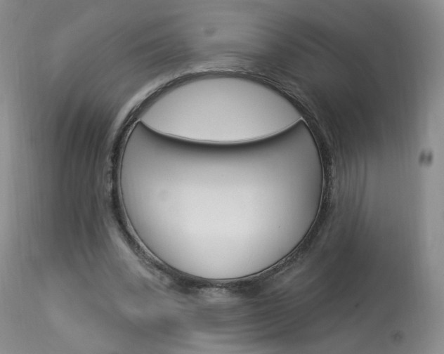 X0000114030392200910021046