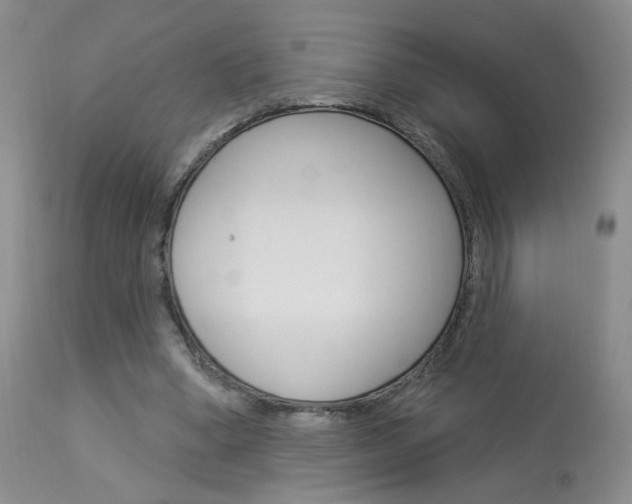 X0000114030394200910021046