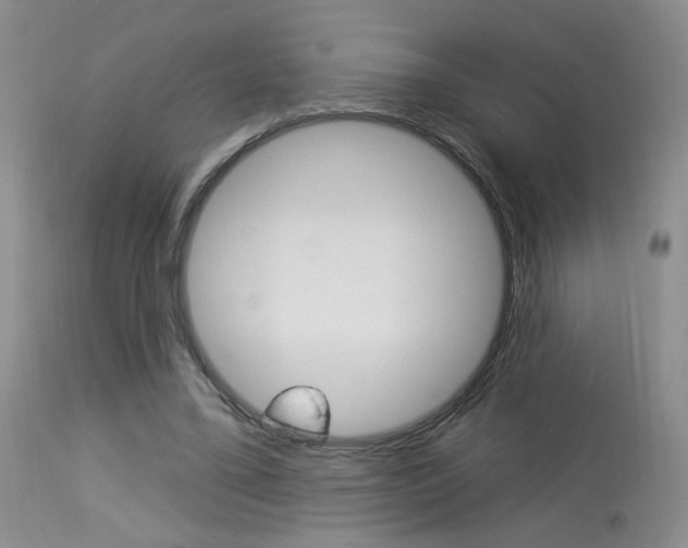 X0000114030395200910021046