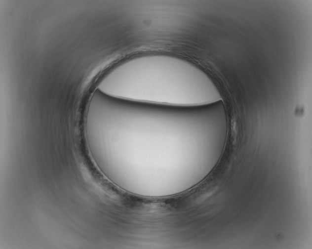 X0000114030396200910021046