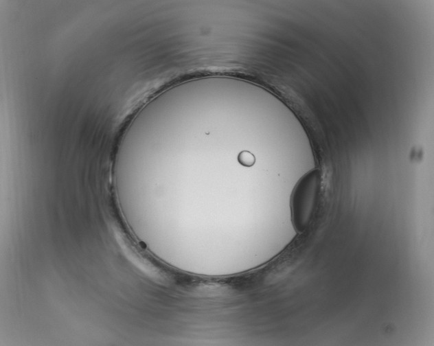 X0000114030397200910021046