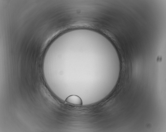 X0000114030399200910021045