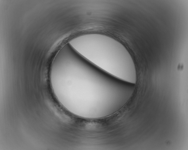 X0000114030400200910021045