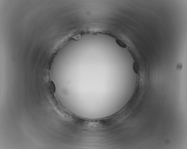 X0000114030401200910021045