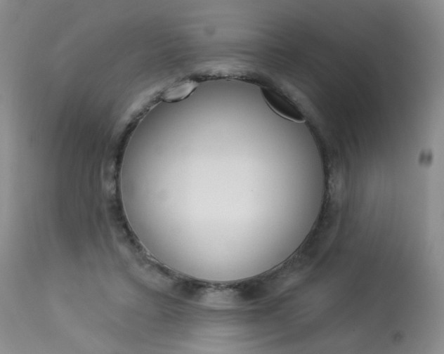 X0000114030403200910021045