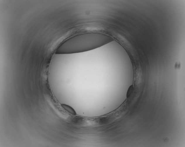 X0000114030405200910021045
