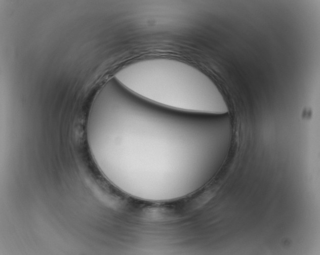 X0000114030408200910021045