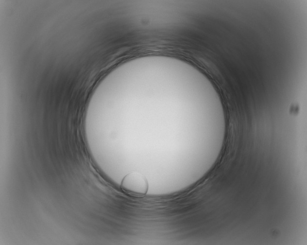X0000114030409200910021045